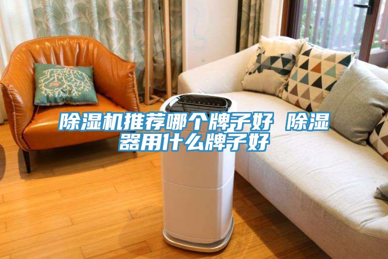 除濕機(jī)推薦哪個(gè)牌子好 除濕器用什么牌子好