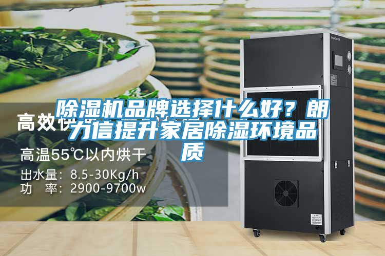 除濕機品牌選擇什么好?朗力信提升家居除濕環境品質