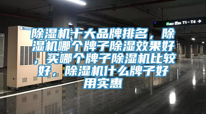 除濕機十大品牌排名,除濕機哪個牌子除濕效果好,買哪個牌子除濕機比較好,除濕機什么牌子好用實惠