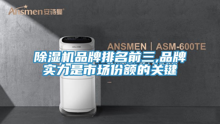 除濕機(jī)品牌排名前三,品牌實力是市場份額的關(guān)鍵