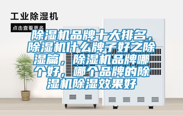 除濕機(jī)品牌十大排名,除濕機(jī)什么牌子好之除濕篇,除濕機(jī)品牌哪個好,哪個品牌的除濕機(jī)除濕效果好