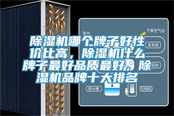 除濕機哪個牌子好性價比高,除濕機什么牌子最好品質最好,除濕機品牌十大排名