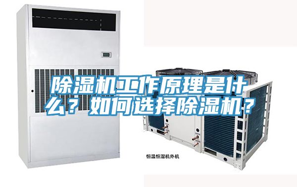 除濕機工作原理是什么？如何選擇除濕機？