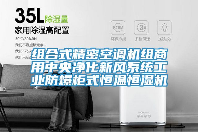 組合式精密空調機組商用中央凈化新風系統(tǒng)工業(yè)防爆柜式恒溫恒濕機