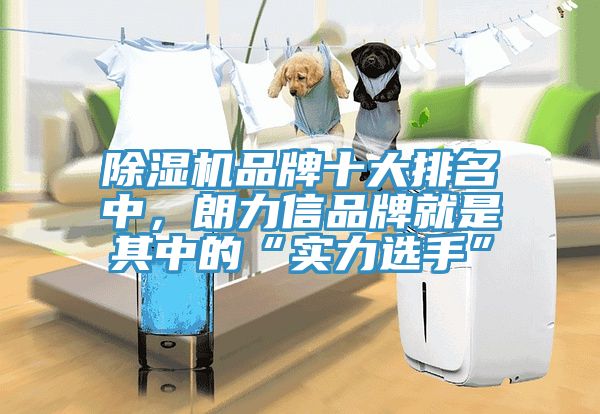除濕機品牌十大排名中,朗力信品牌就是其中的“實力選手”