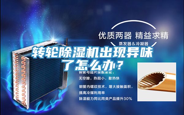 轉輪除濕機出現異味了怎么辦?