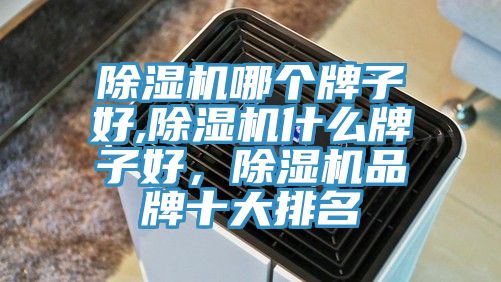 除濕機哪個牌子好,除濕機什么牌子好,除濕機品牌十大排名