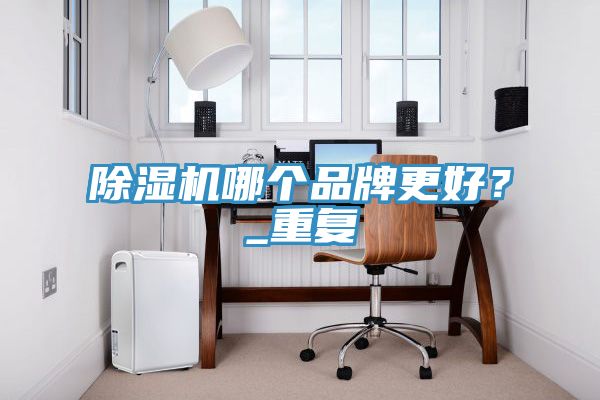 除濕機哪個品牌更好?_重復