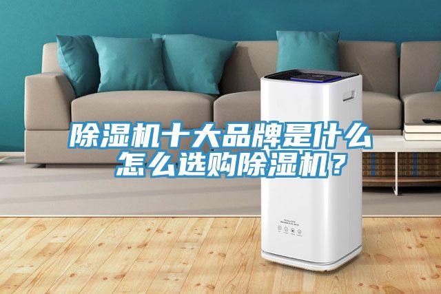 除濕機十大品牌是什么 怎么選購除濕機？
