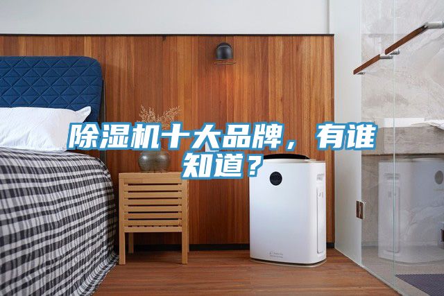 除濕機十大品牌，有誰知道？