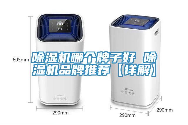 除濕機哪個牌子好 除濕機品牌推薦【詳解】