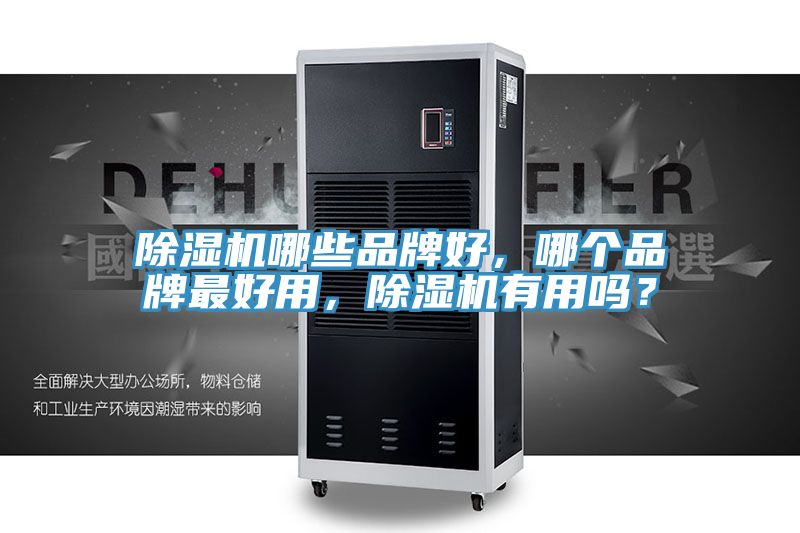 除濕機哪些品牌好，哪個品牌最好用，除濕機有用嗎？