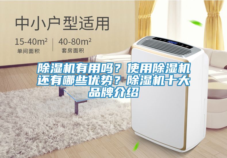 除濕機有用嗎？使用除濕機還有哪些優勢？除濕機十大品牌介紹
