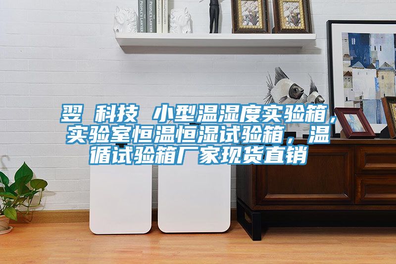 翌昇科技 小型溫濕度實驗箱，實驗室恒溫恒濕試驗箱，溫循試驗箱廠家現(xiàn)貨直銷