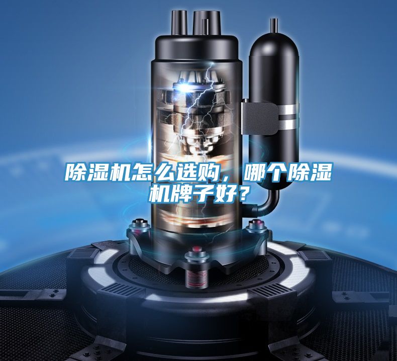 除濕機(jī)怎么選購，哪個除濕機(jī)牌子好？