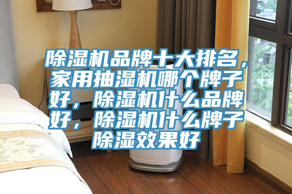 除濕機(jī)品牌十大排名,家用抽濕機(jī)哪個牌子好,除濕機(jī)什么品牌好,除濕機(jī)什么牌子除濕效果好