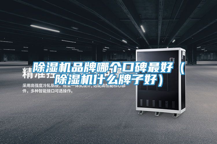除濕機(jī)品牌哪個口碑最好(除濕機(jī)什么牌子好)