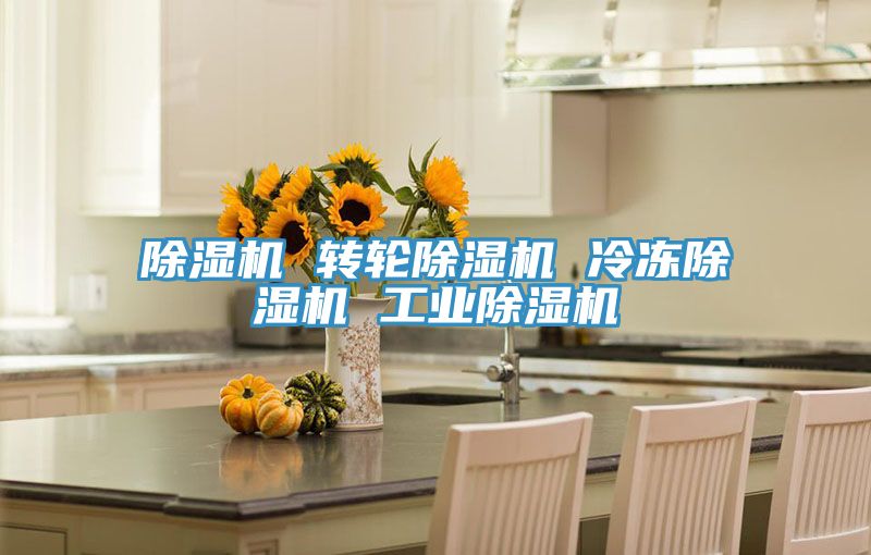 除濕機 轉輪除濕機 冷凍除濕機 工業除濕機