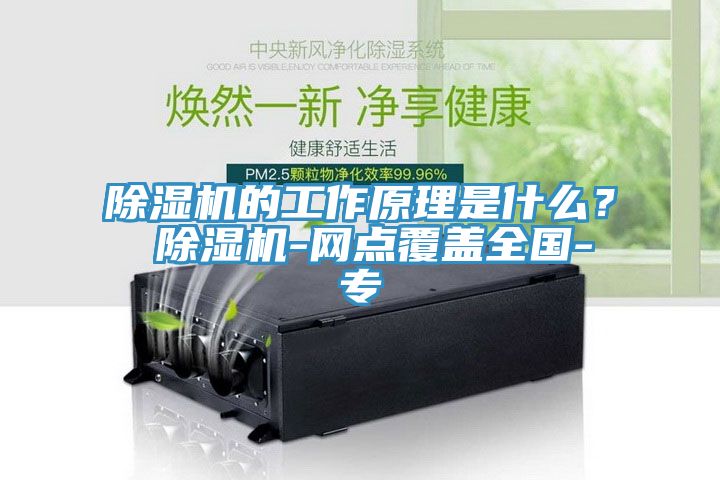 除濕機的工作原理是什么? 除濕機-網點覆蓋全國-專