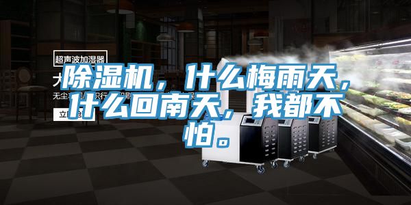 除濕機,什么梅雨天,什么回南天,我都不怕。