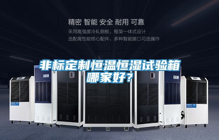 非標(biāo)定制恒溫恒濕試驗(yàn)箱哪家好?