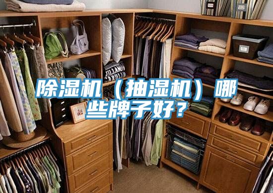 除濕機(抽濕機)哪些牌子好?