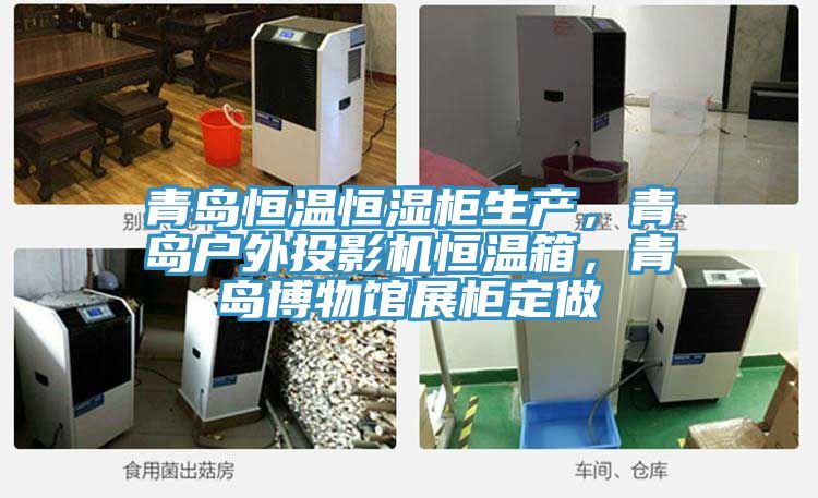 青島恒溫恒濕柜生產,青島戶外投影機恒溫箱,青島博物館展柜定做