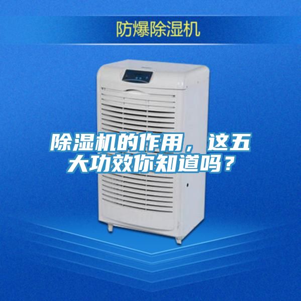 除濕機的作用,這五大功效你知道嗎?