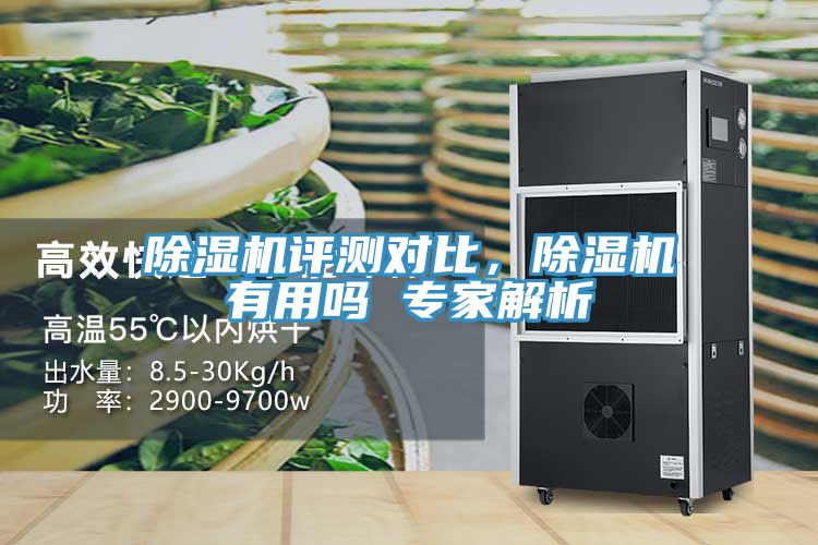 除濕機評測對比,除濕機有用嗎 專家解析