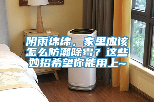 陰雨綿綿，家里應該怎么防潮除霉？這些妙招希望你能用上~