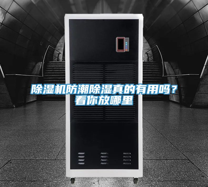 除濕機防潮除濕真的有用嗎？看你放哪里