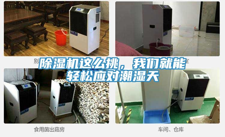 除濕機這么挑，我們就能輕松應(yīng)對潮濕天
