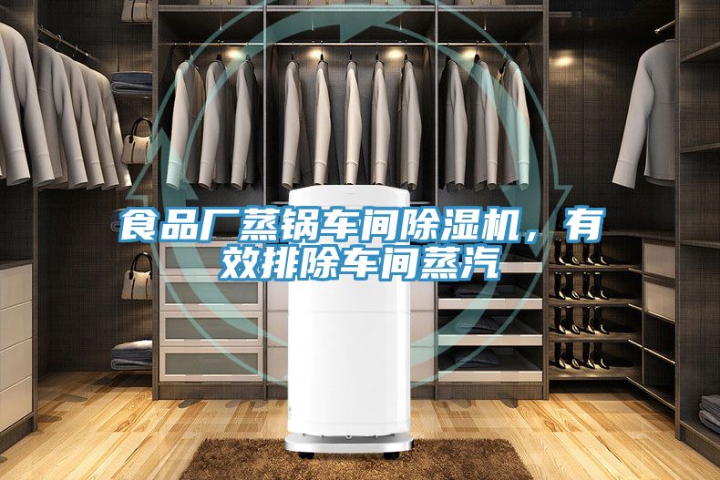 食品廠蒸鍋車間除濕機(jī),有效排除車間蒸汽