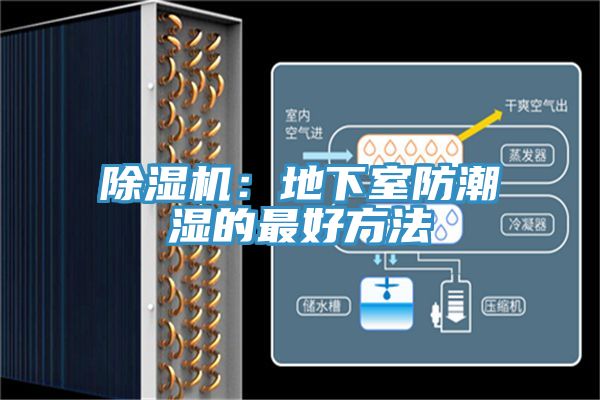 除濕機:地下室防潮濕的最好方法