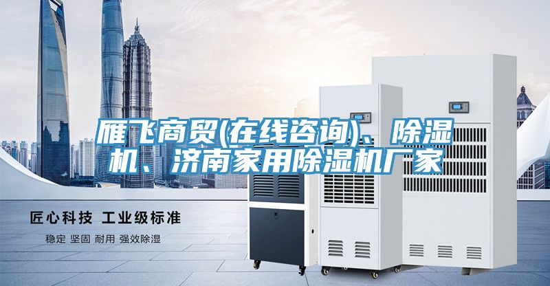 雁飛商貿(在線咨詢)、除濕機、濟南家用除濕機廠家