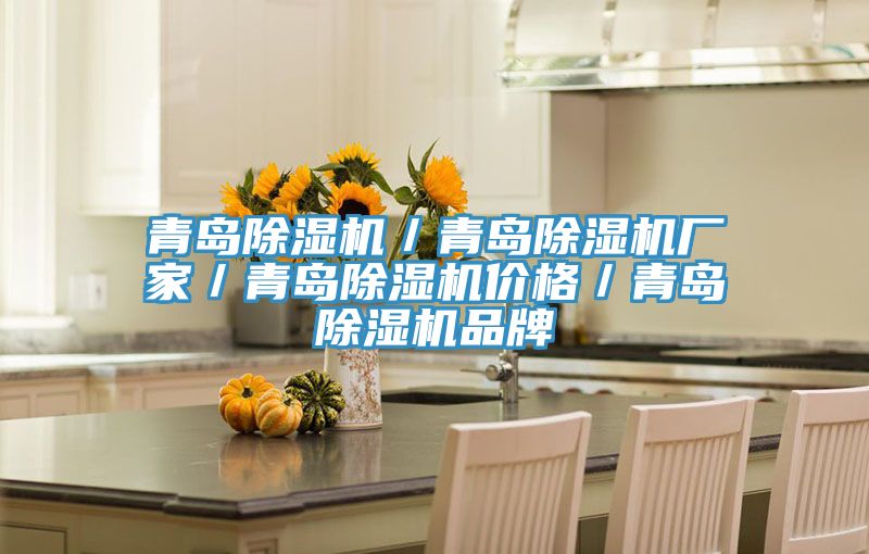 青島除濕機/青島除濕機廠家/青島除濕機價格/青島除濕機品牌