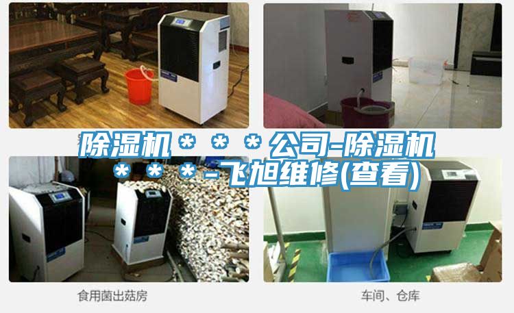 除濕機***公司-除濕機***-飛旭維修(查看)