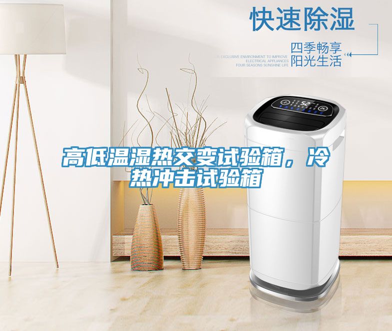 高低溫濕熱交變試驗箱,冷熱沖擊試驗箱