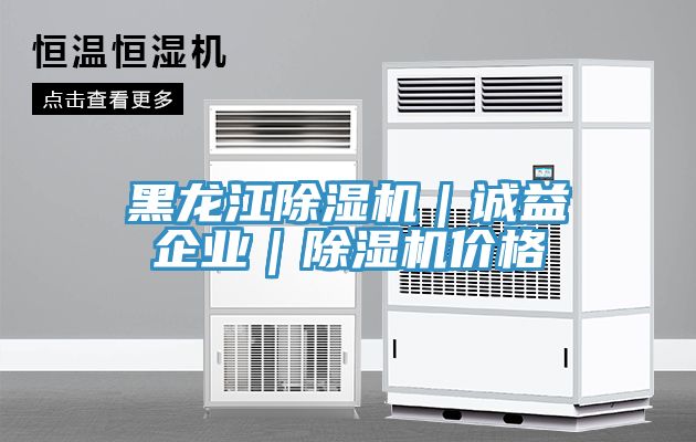 黑龍江除濕機|誠益企業|除濕機價格