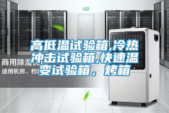 高低溫試驗(yàn)箱,冷熱沖擊試驗(yàn)箱,快速溫變?cè)囼?yàn)箱,烤箱