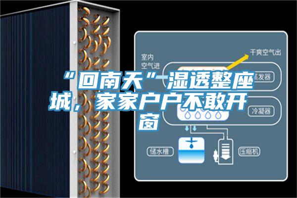 “回南天”濕透整座城，家家戶戶不敢開窗