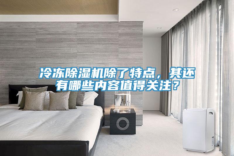 冷凍除濕機(jī)除了特點(diǎn),其還有哪些內(nèi)容值得關(guān)注?