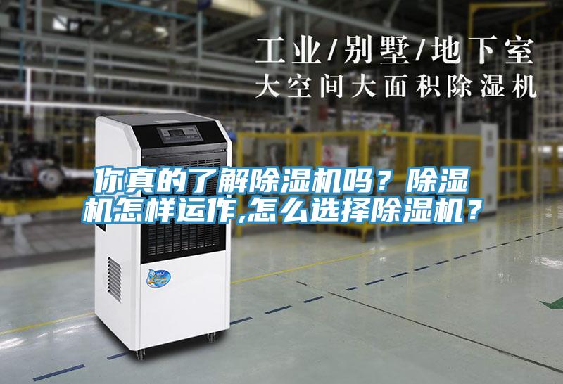 你真的了解除濕機(jī)嗎？除濕機(jī)怎樣運(yùn)作,怎么選擇除濕機(jī)？