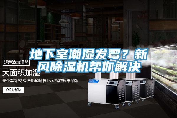 地下室潮濕發(fā)霉？新風除濕機幫你解決