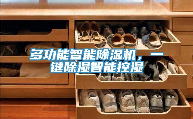 多功能智能除濕機，一鍵除濕智能控濕