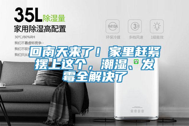 回南天來了！家里趕緊擺上這個(gè)，潮濕、發(fā)霉全解決了